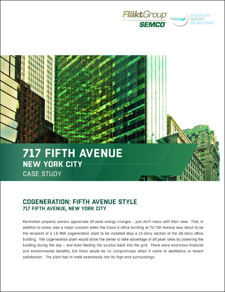 717 Fifth Avenue Case Study